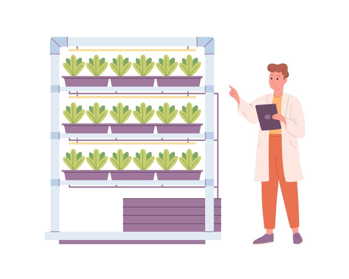 Hydroponics technology for plants growing. Vertical farming. Scientist or biologist grows plants in hydroponic farm. Smart farm vector