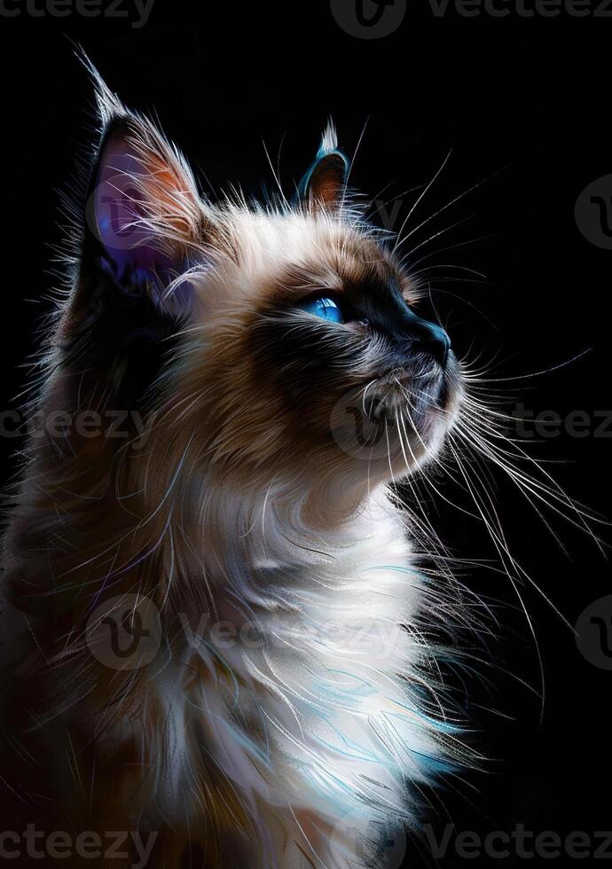 AI generated cat with eyes photo