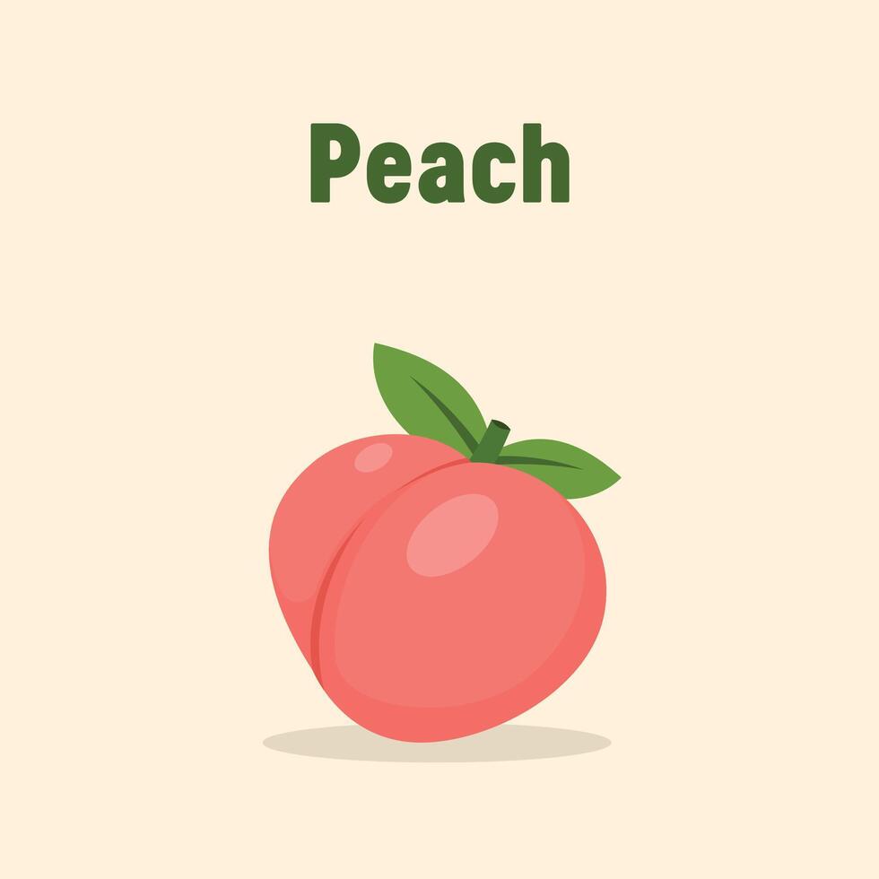 Peach Modern Vector Icon Illustration