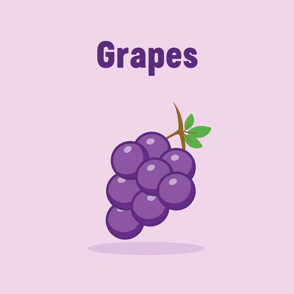 Grapes Modern Vector Icon Illustration