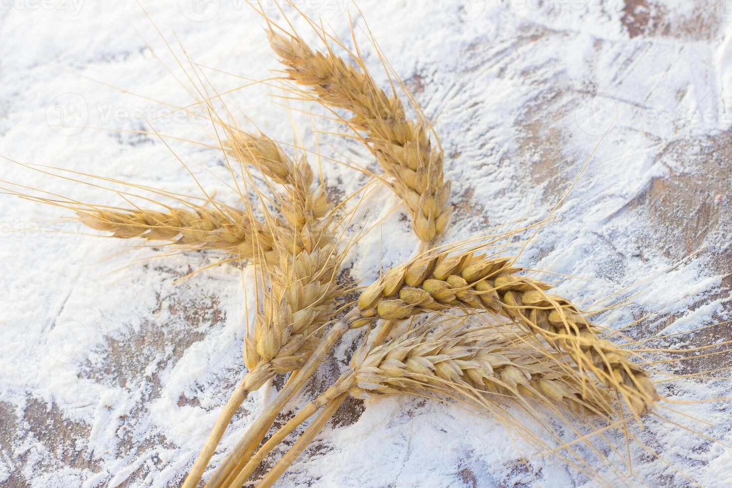 spikes of wheat and flour photo
