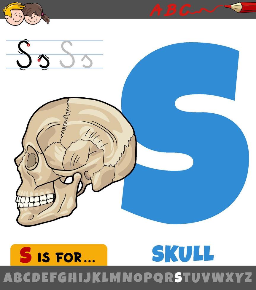 letter S worksheet with cartoon human skull vector