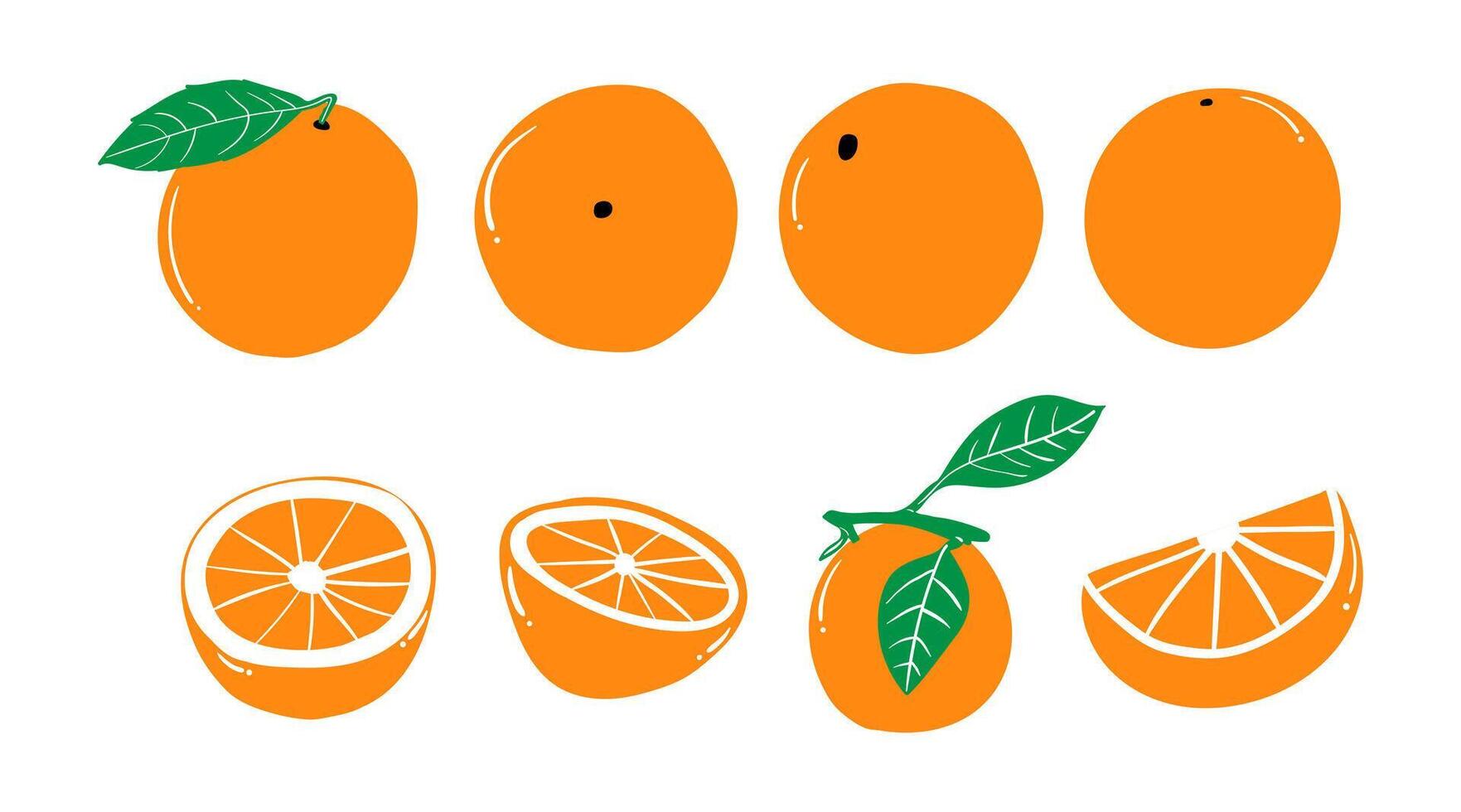 vector illustration of a collection of orange fruits