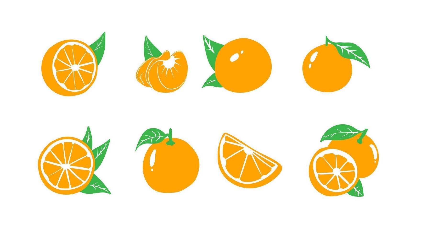 collection of vector illustrations of orange fruit