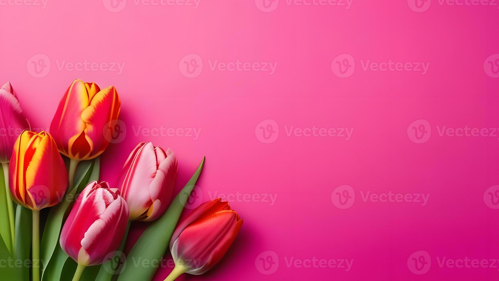 AI Generated Colorful tulips on pink background. Top view with copy space photo