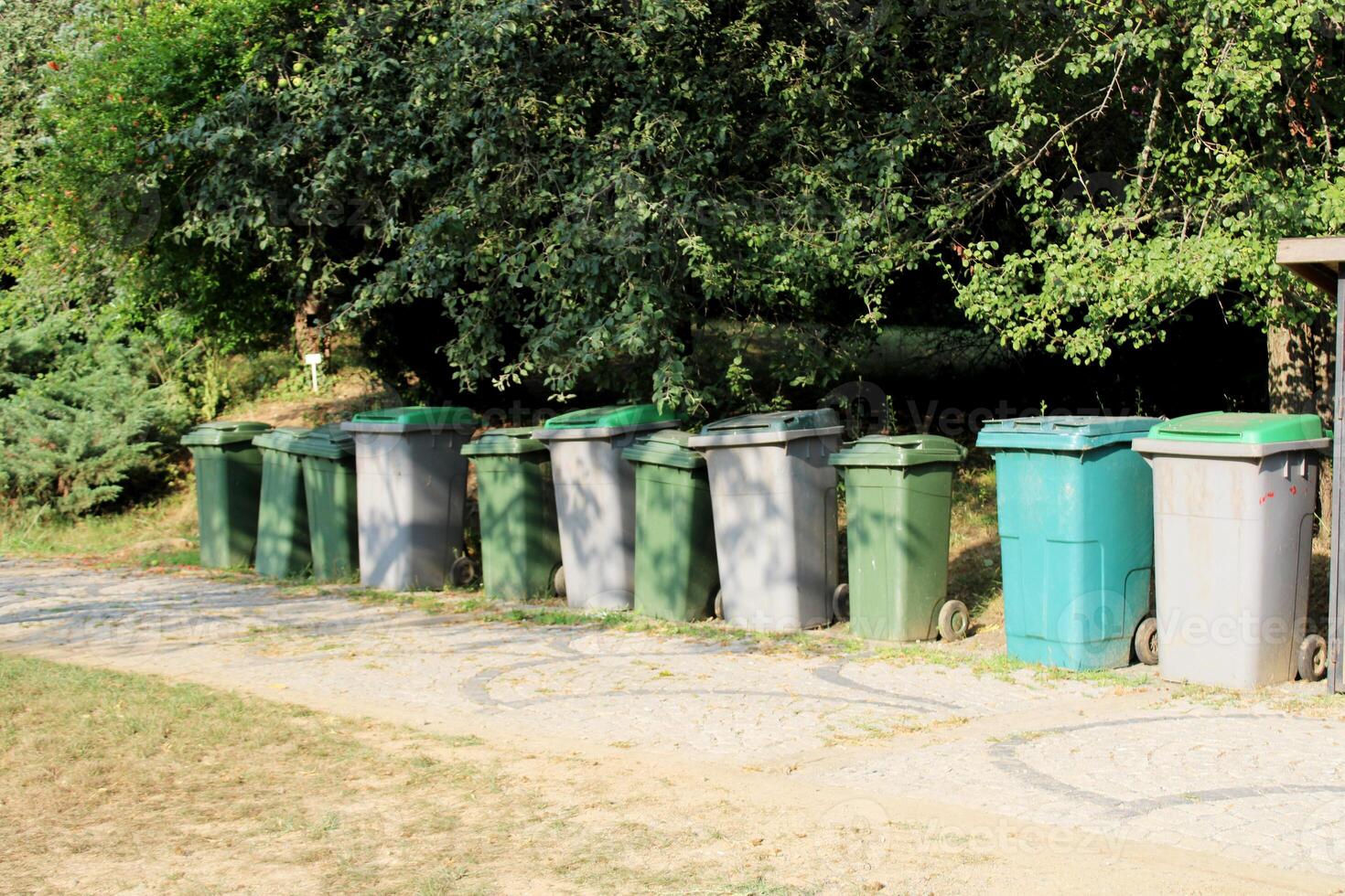 Plastic garbage bins in the forest area. trash cans for recycling photo