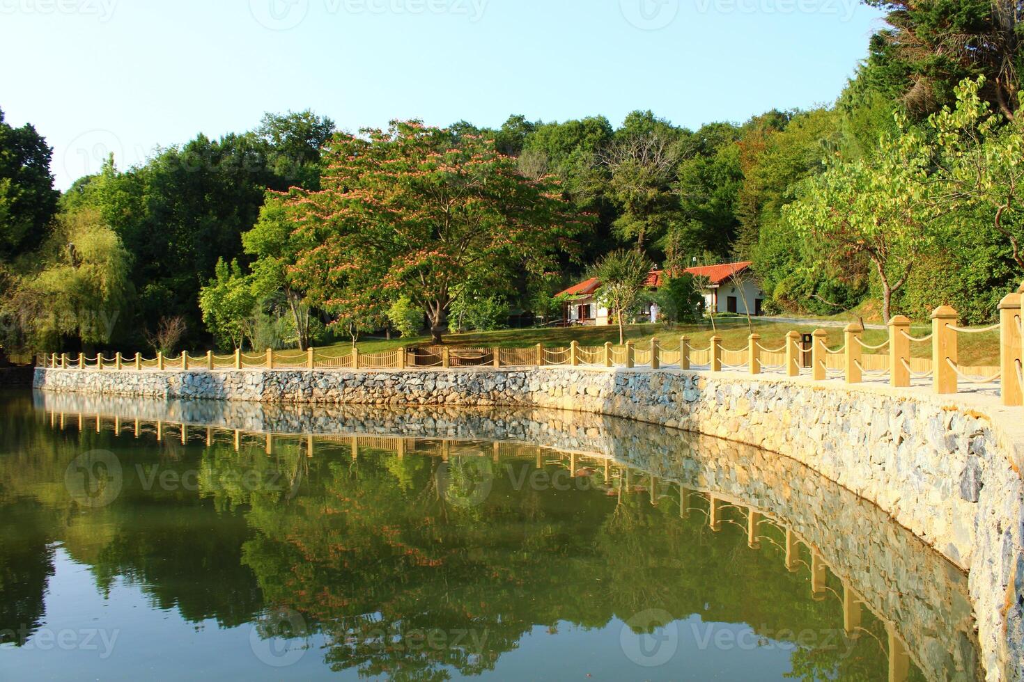 A small lake in the forest, Belgrade forest, Sariyer, Istanbul. photo