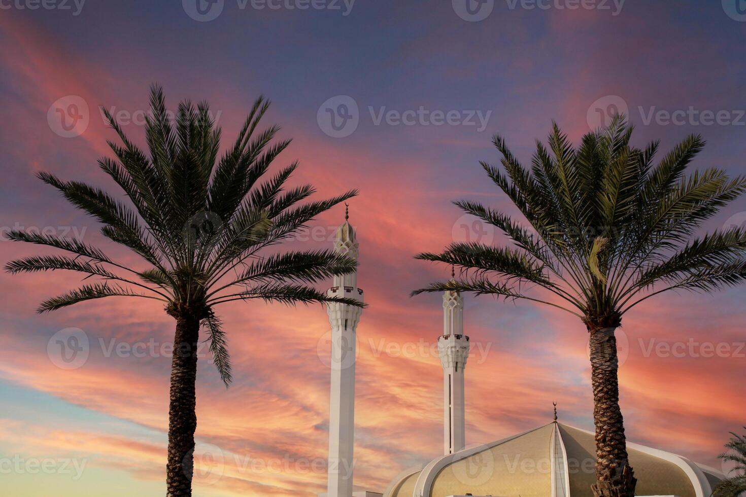 palm tree and the minaret of Hasan En Any Mosque behind it. Islamic architecture. Saudi Arabia photo