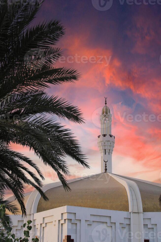 Hasan En Any Mosque minaret and palm tree. Night in Jeddah. Islamic architecture. Saudi Arabia photo