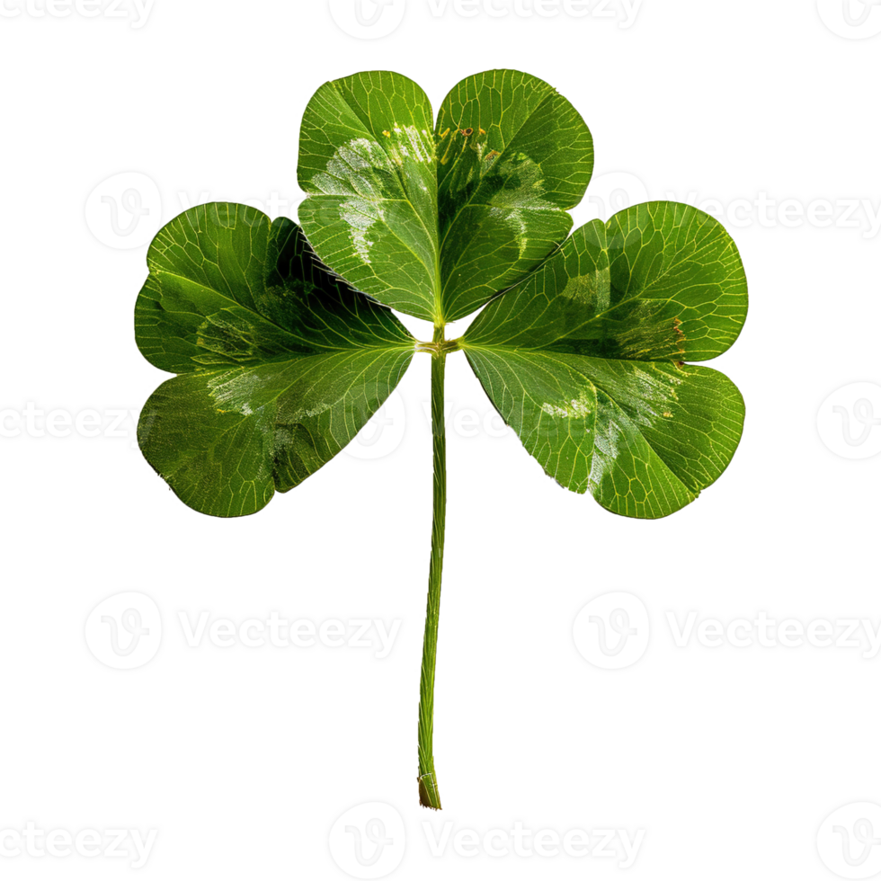AI generated Four-leaf clover isolated on transparent background png