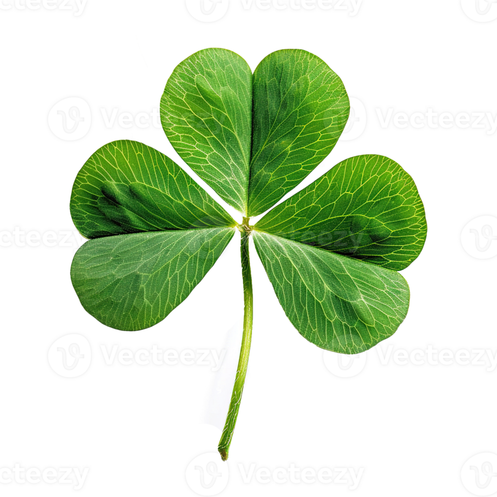 AI generated Four-leaf clover isolated on transparent background png