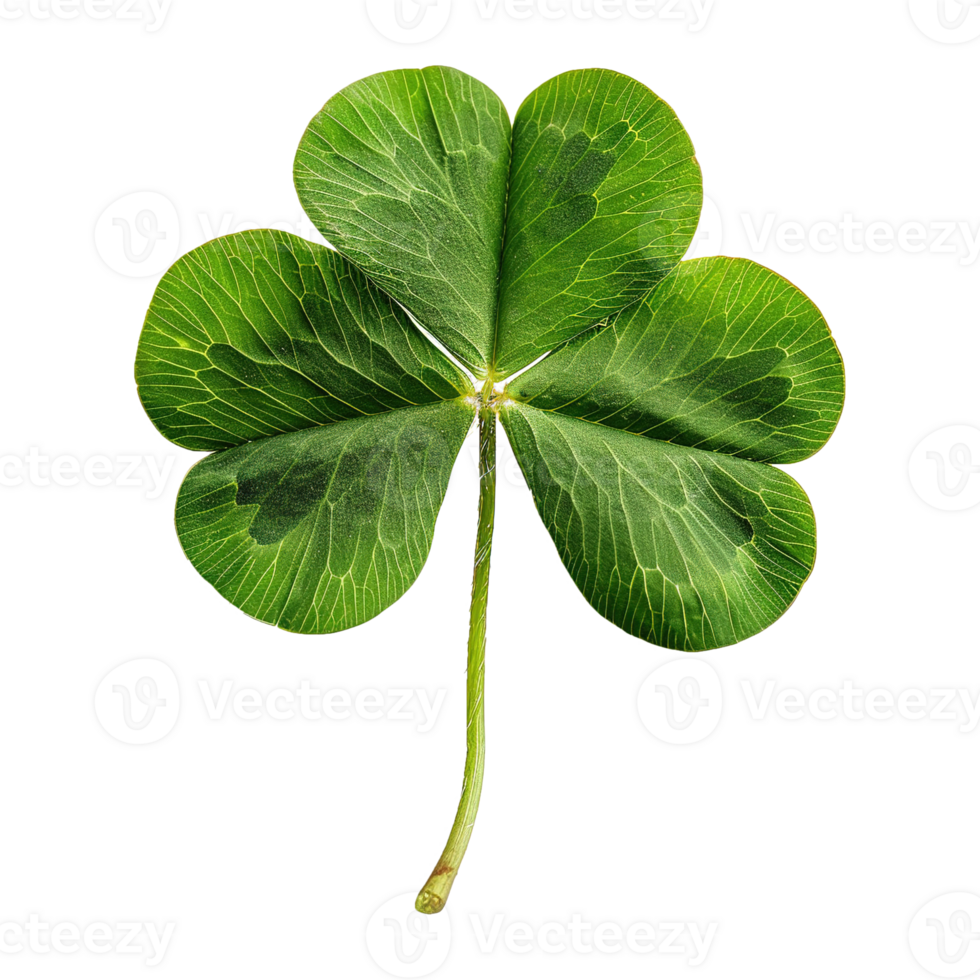 AI generated Four-leaf clover isolated on transparent background png