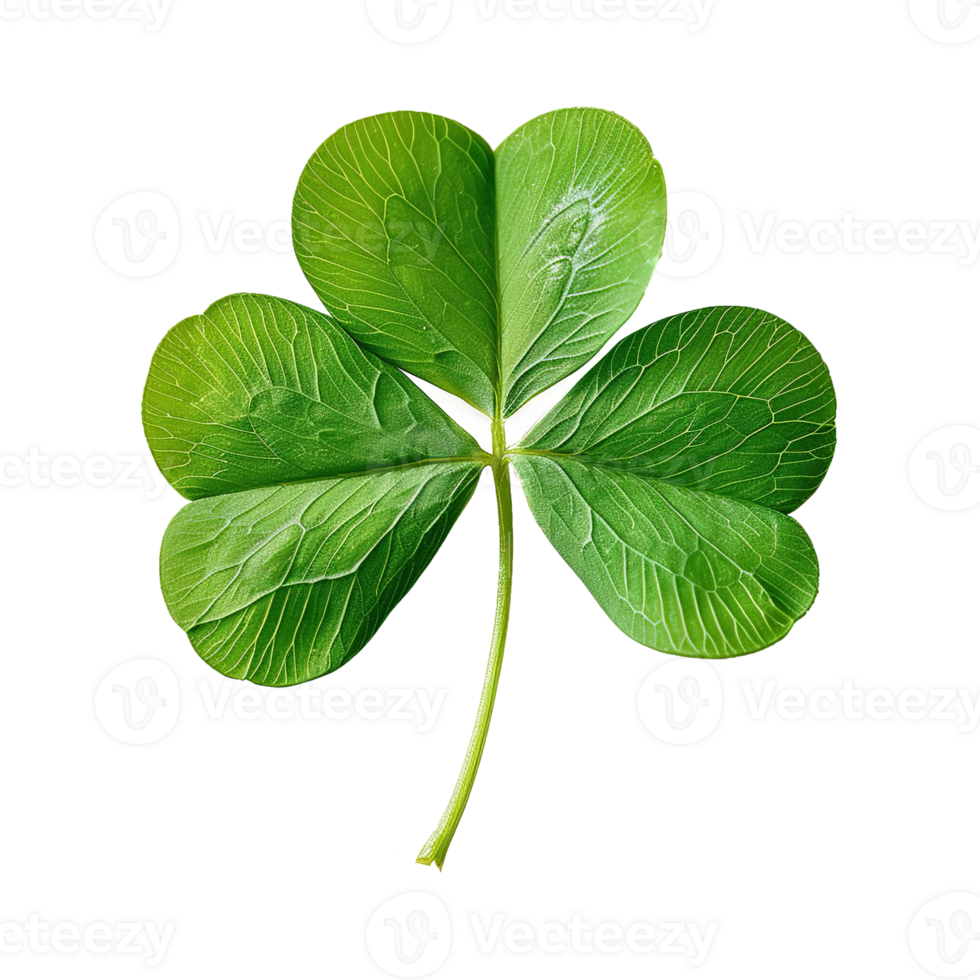 AI generated Four-leaf clover isolated on transparent background png