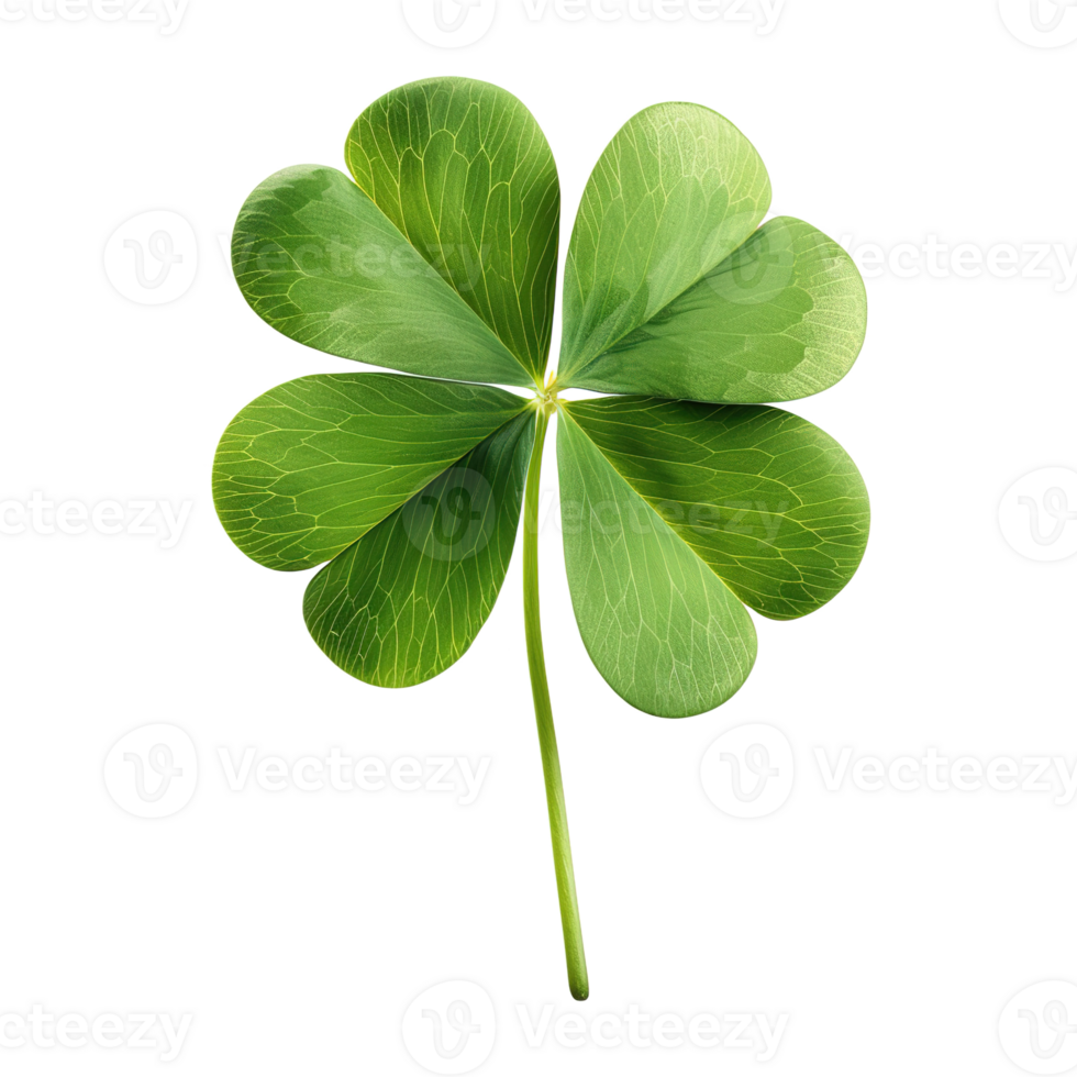 AI generated Four-leaf clover isolated on transparent background png