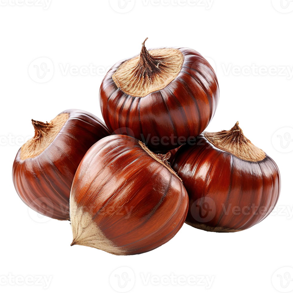 AI generated Chestnut isolated on transparent background png