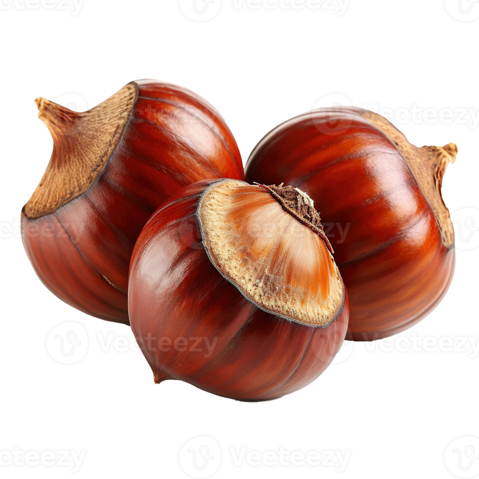 AI generated Chestnut isolated on transparent background png