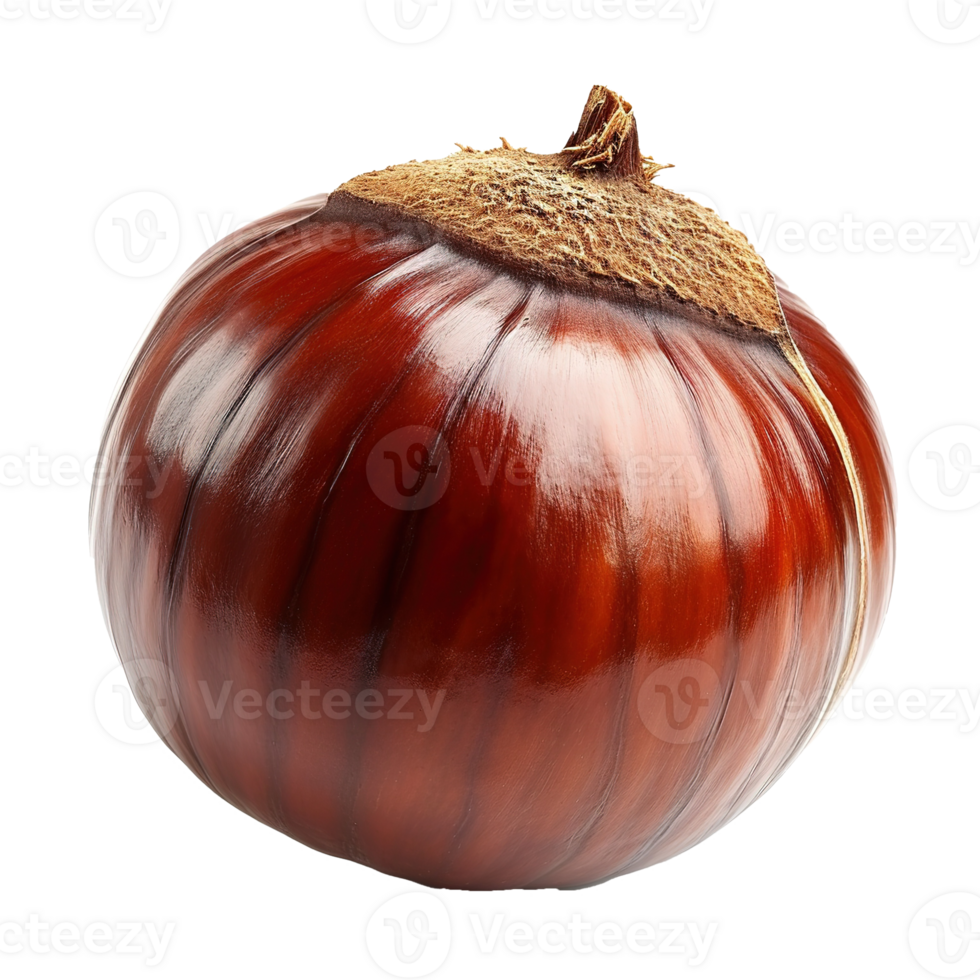AI generated Chestnut isolated on transparent background png