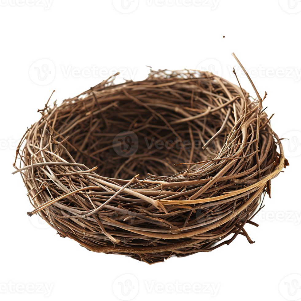 AI generated Bird nest isolated on transparent background png