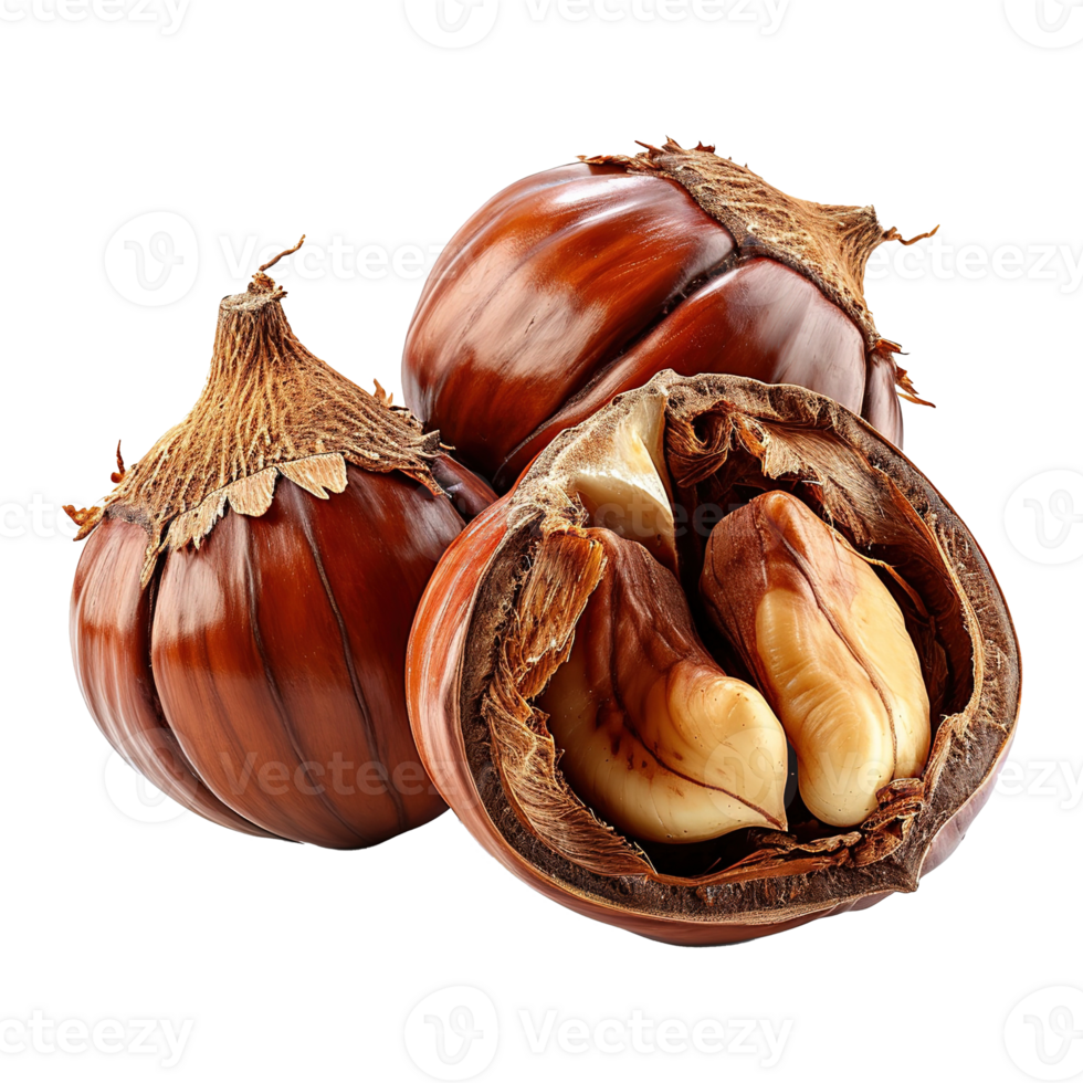 AI generated Chestnut isolated on transparent background png