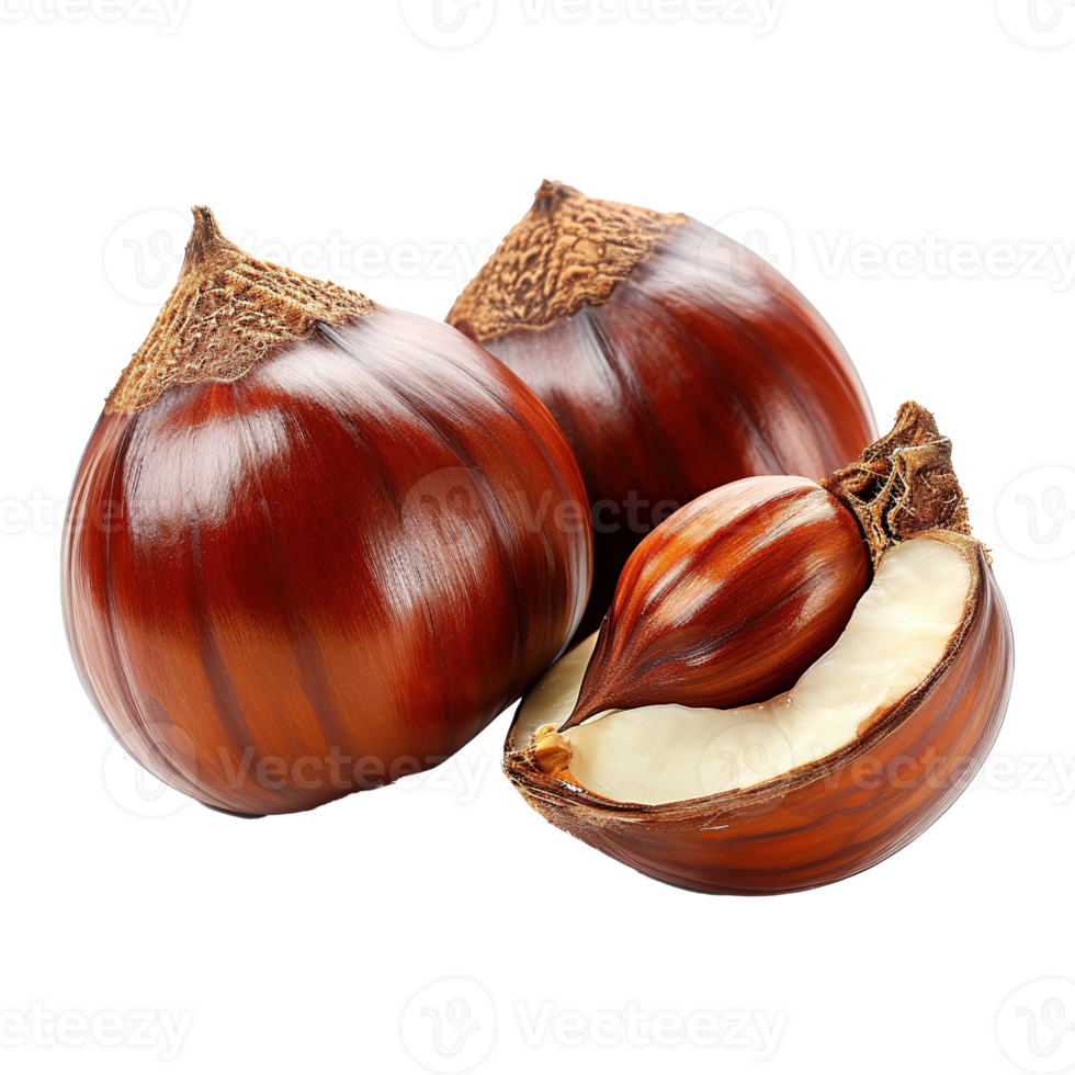 AI generated Chestnut isolated on transparent background png