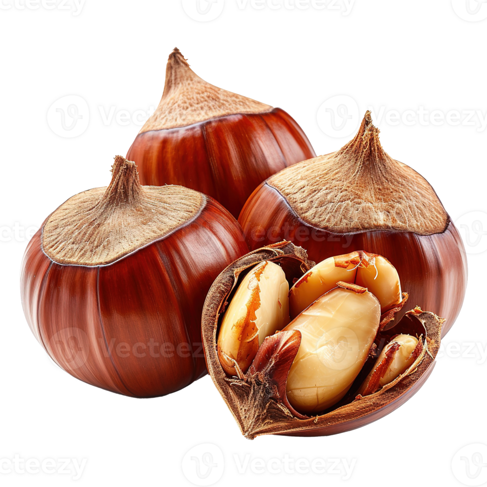 AI generated Chestnut isolated on transparent background png