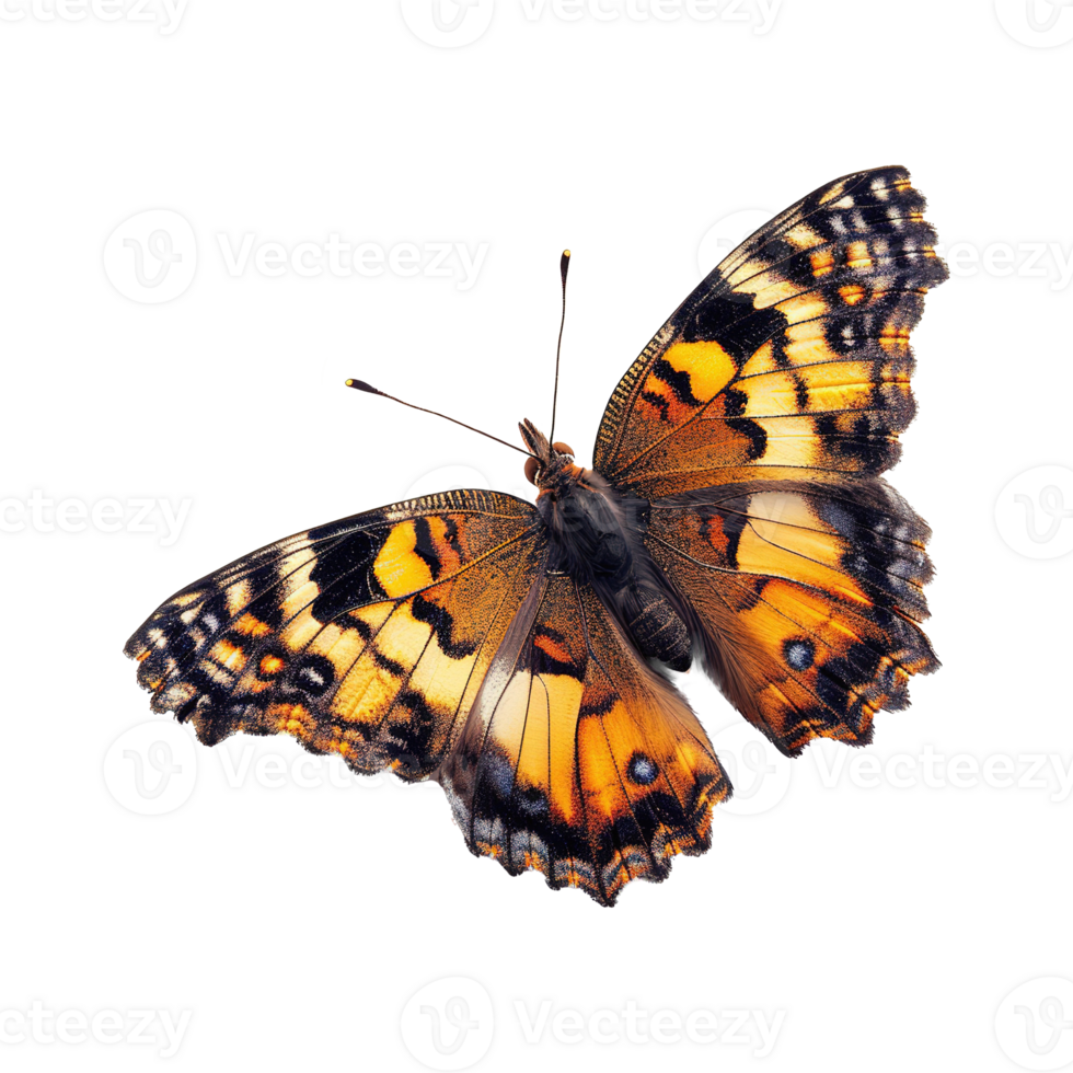 AI generated Colorful butterfly isolated on transparent background png