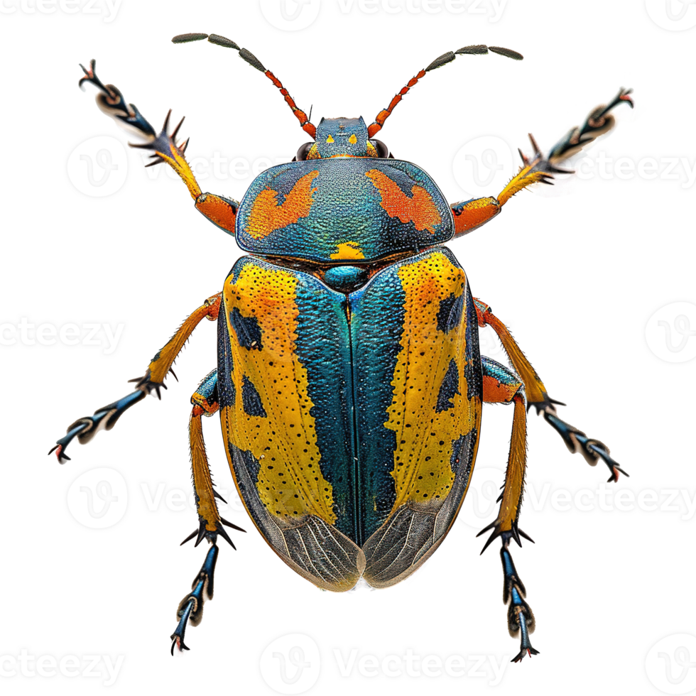 AI generated Bug isolated on transparent background png