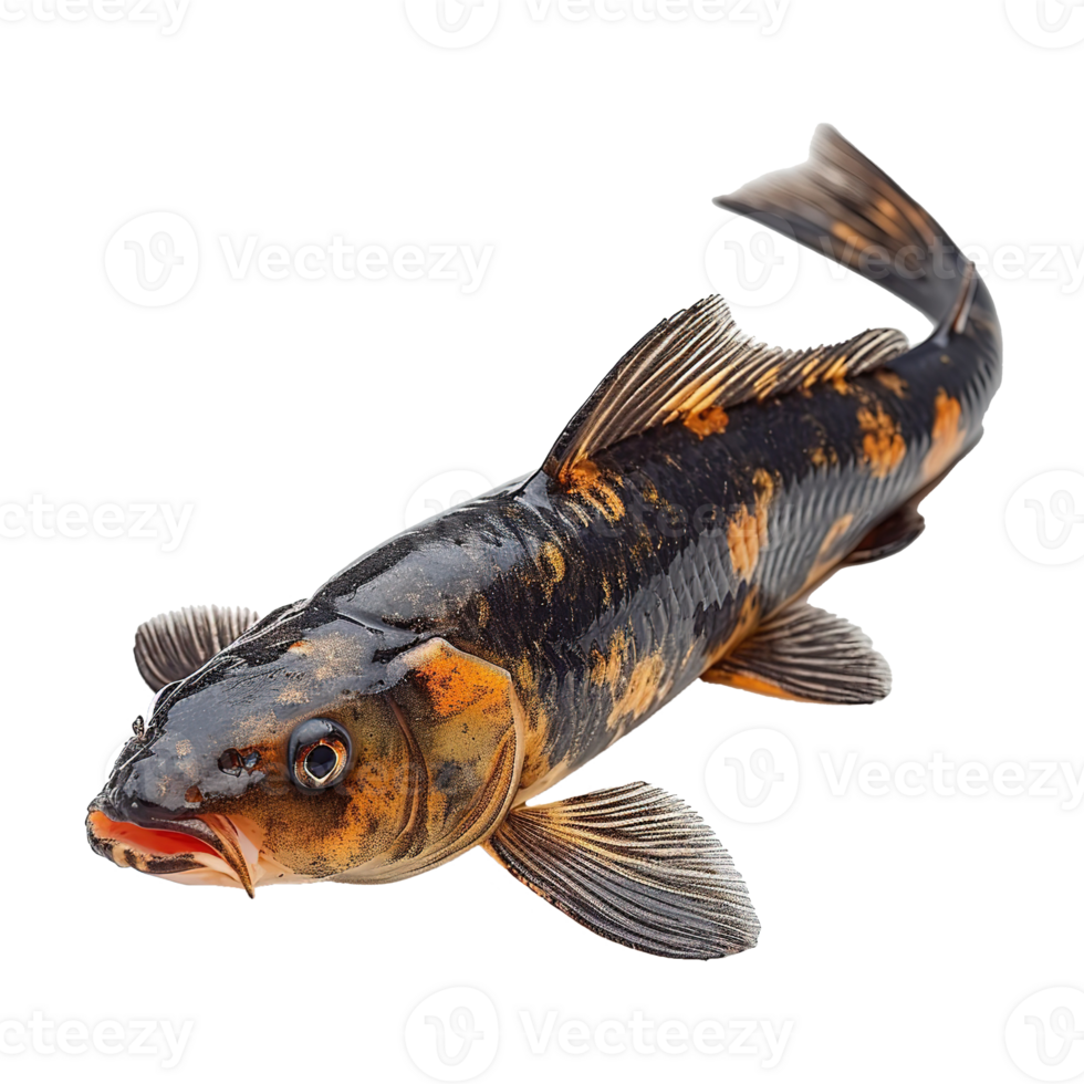 AI generated Catfish isolated on transparent background png