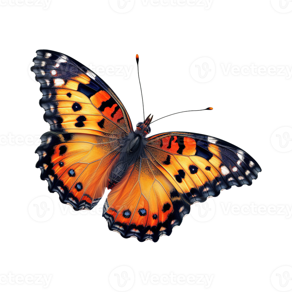 AI generated Colorful butterfly isolated on transparent background png