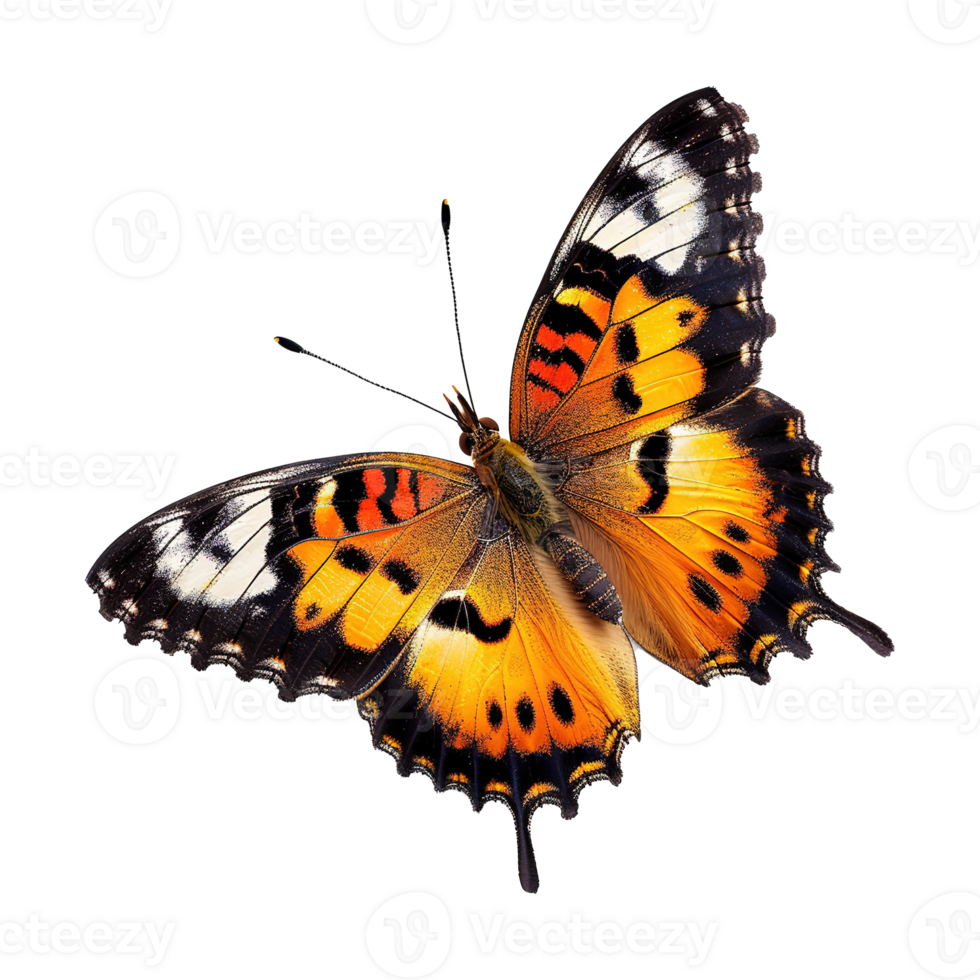 AI generated Colorful butterfly isolated on transparent background png