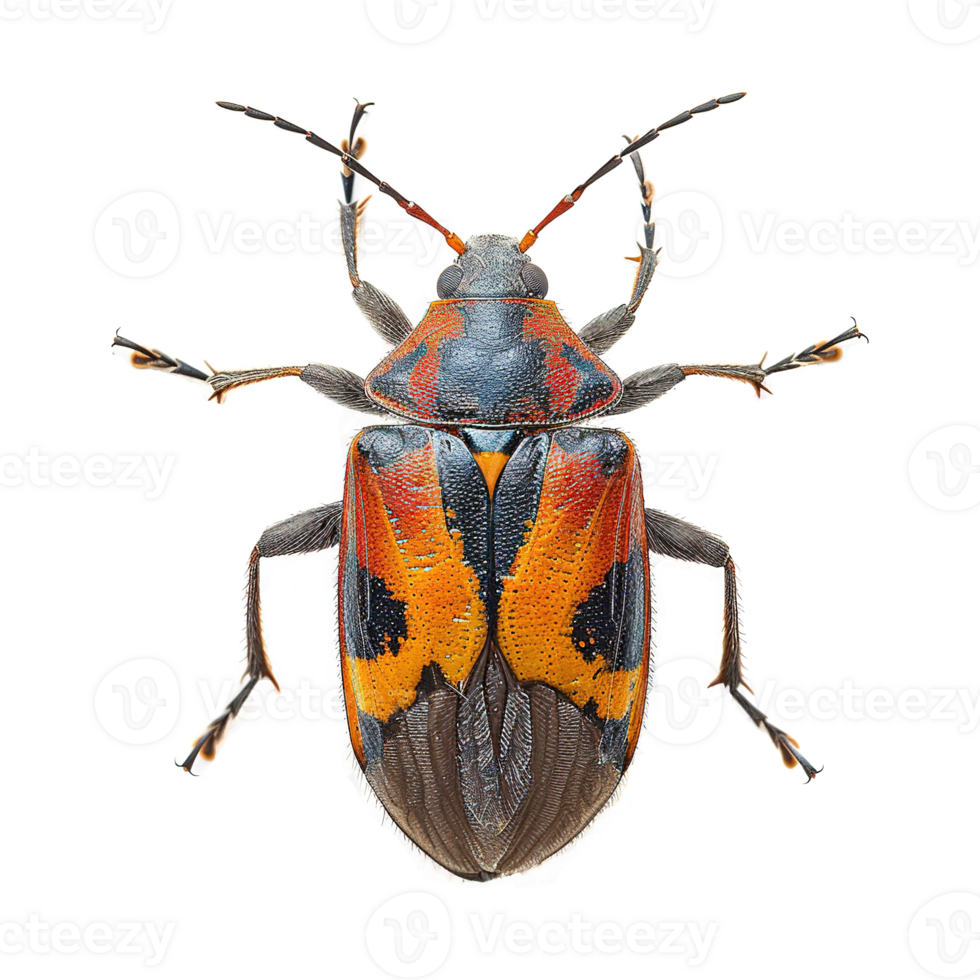 AI generated Bug isolated on transparent background png