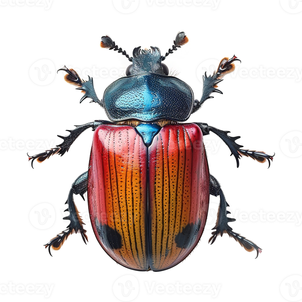AI generated Beetle isolated on transparent background png
