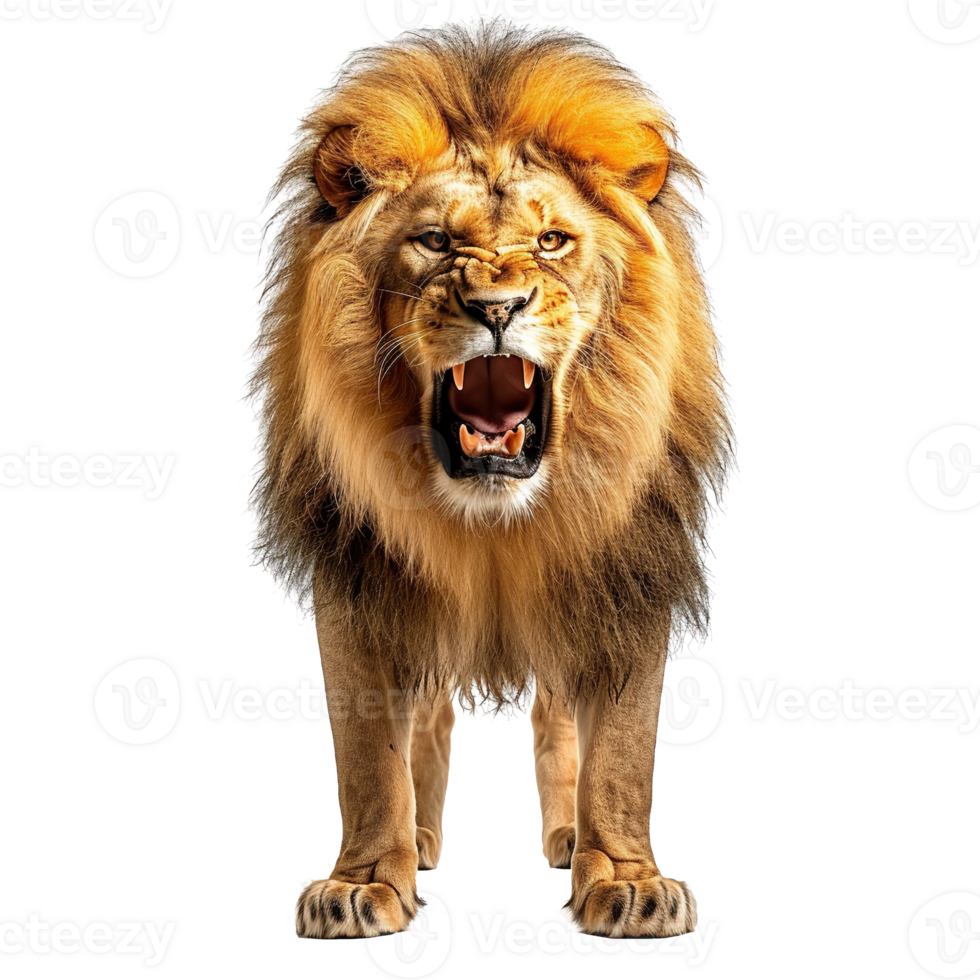 AI generated Lion isolated on transparent background png