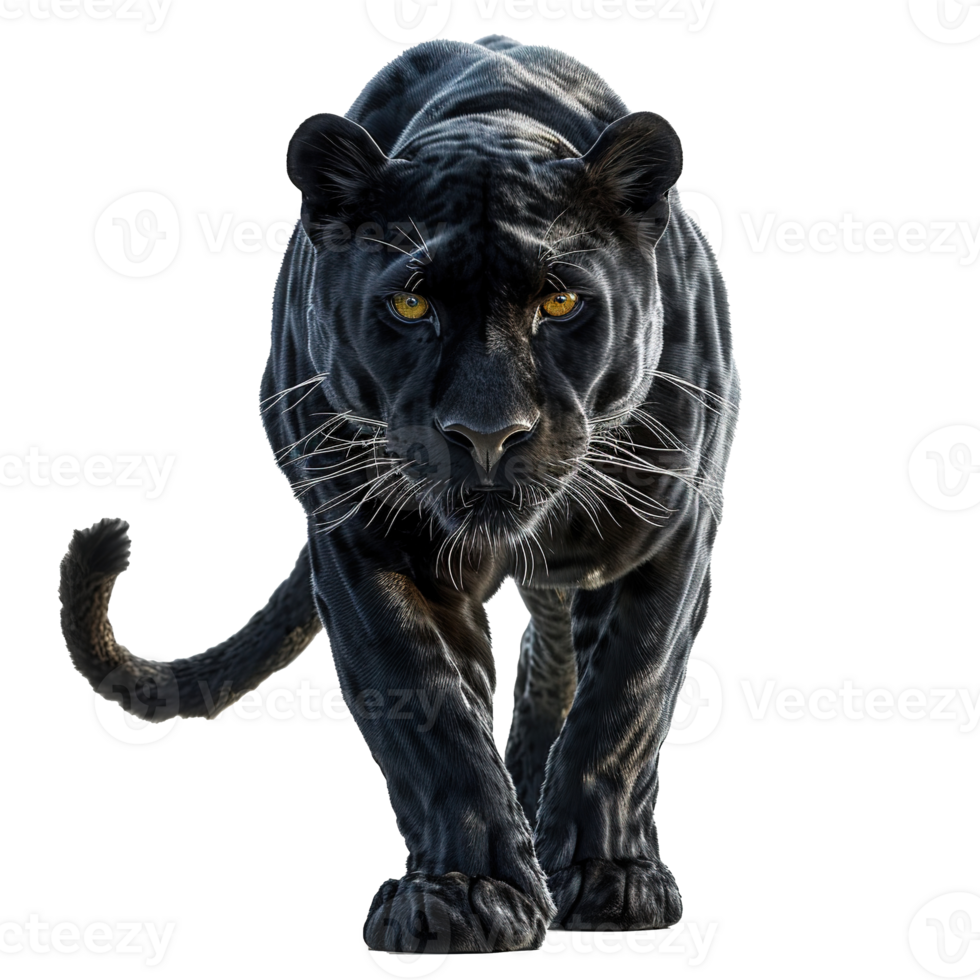 AI generated Black panther isolated on transparent background png