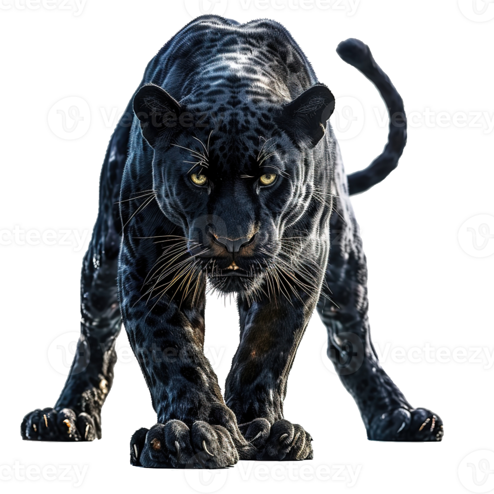 ai generiert groß schwarz Panther isoliert auf transparent Hintergrund png