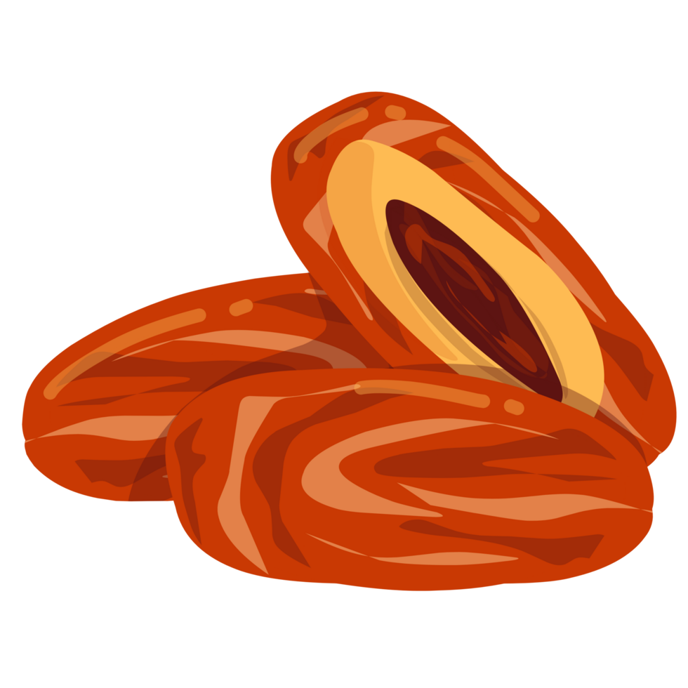 Dates fruit Illustration png