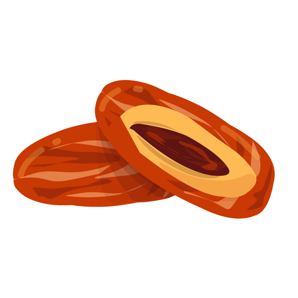 Dates fruit Illustration png