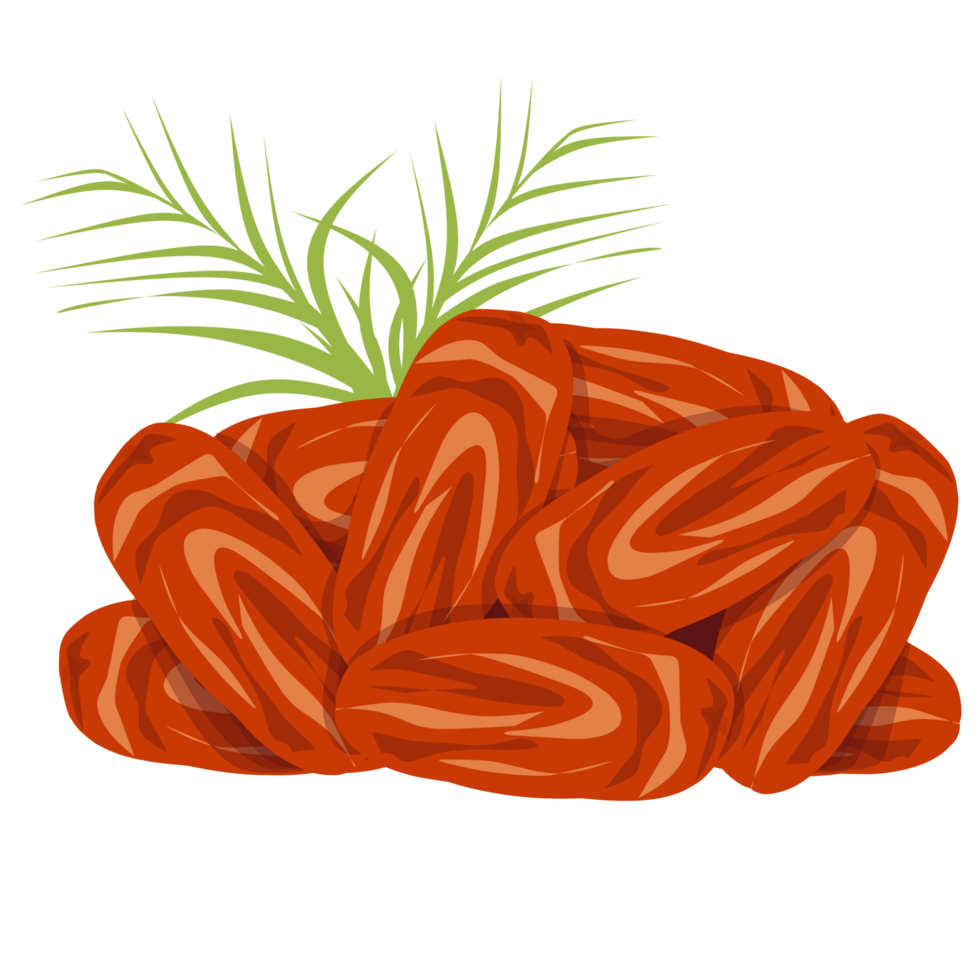 Dates fruit Illustration png