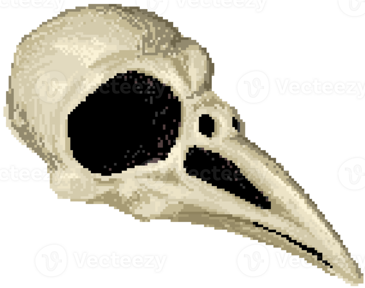 Bones and skulls png
