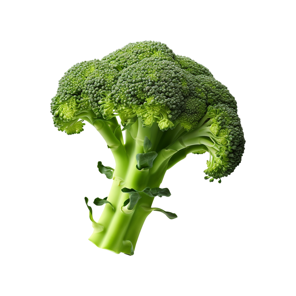 AI generated Broccoli vegetable isolated on transparent background png
