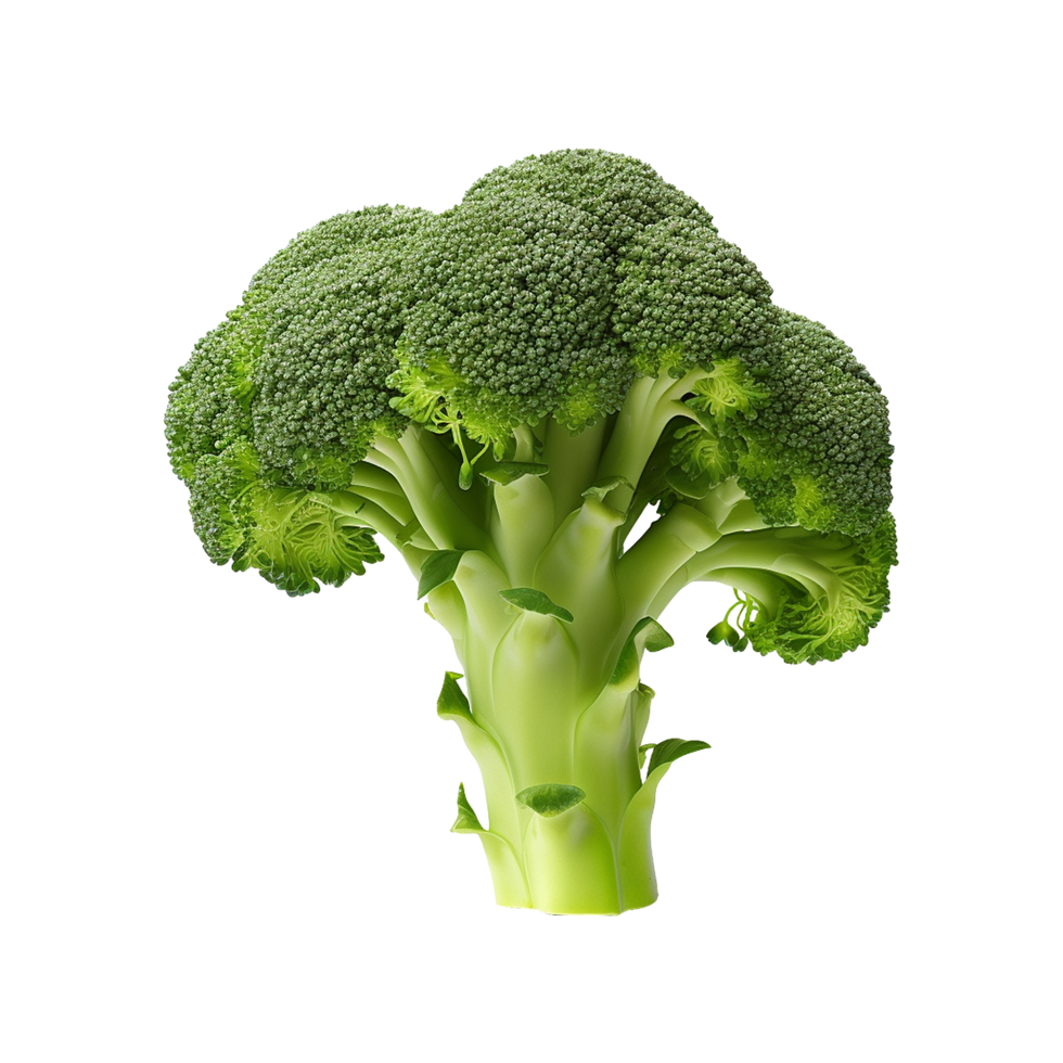 ai gerado brócolis vegetal isolado em transparente fundo png