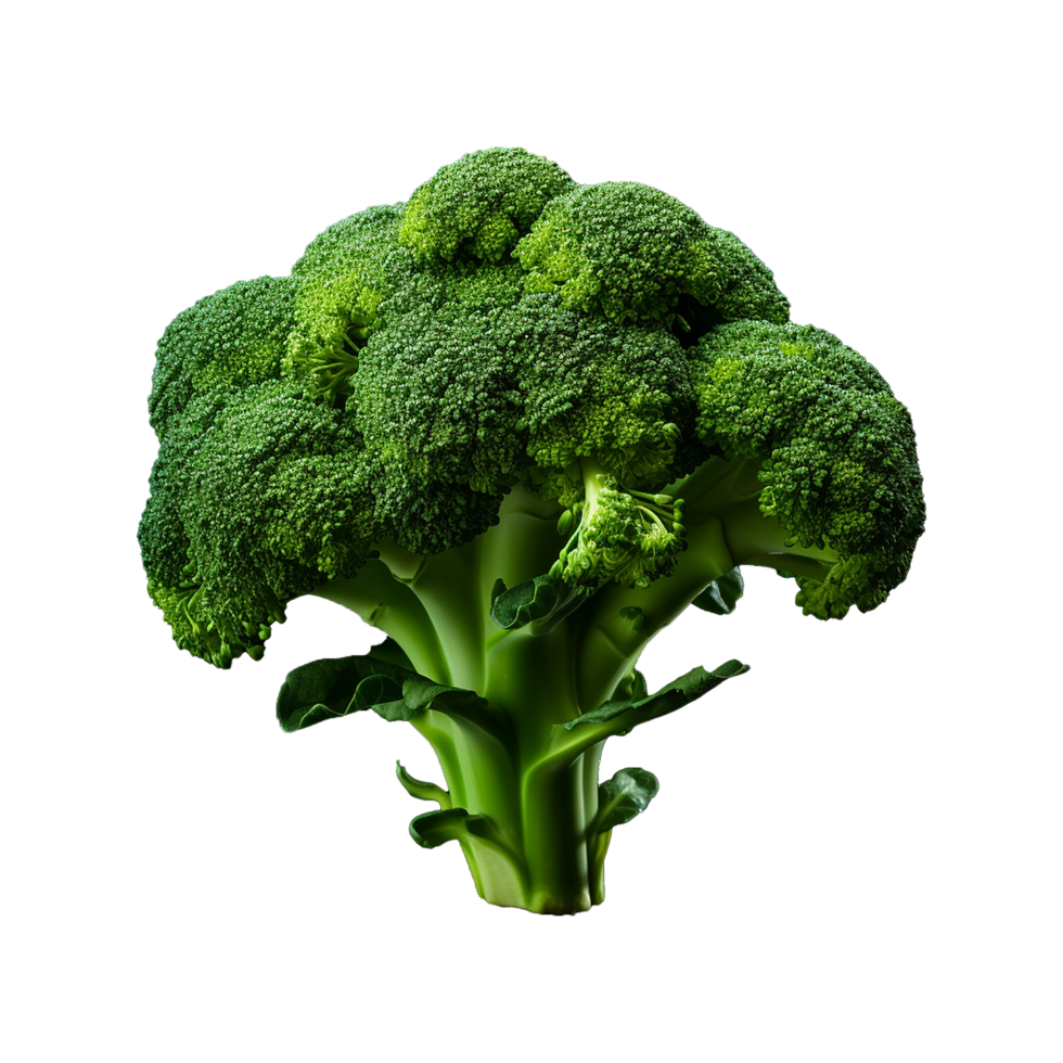 AI generated Broccoli vegetable isolated on transparent background png
