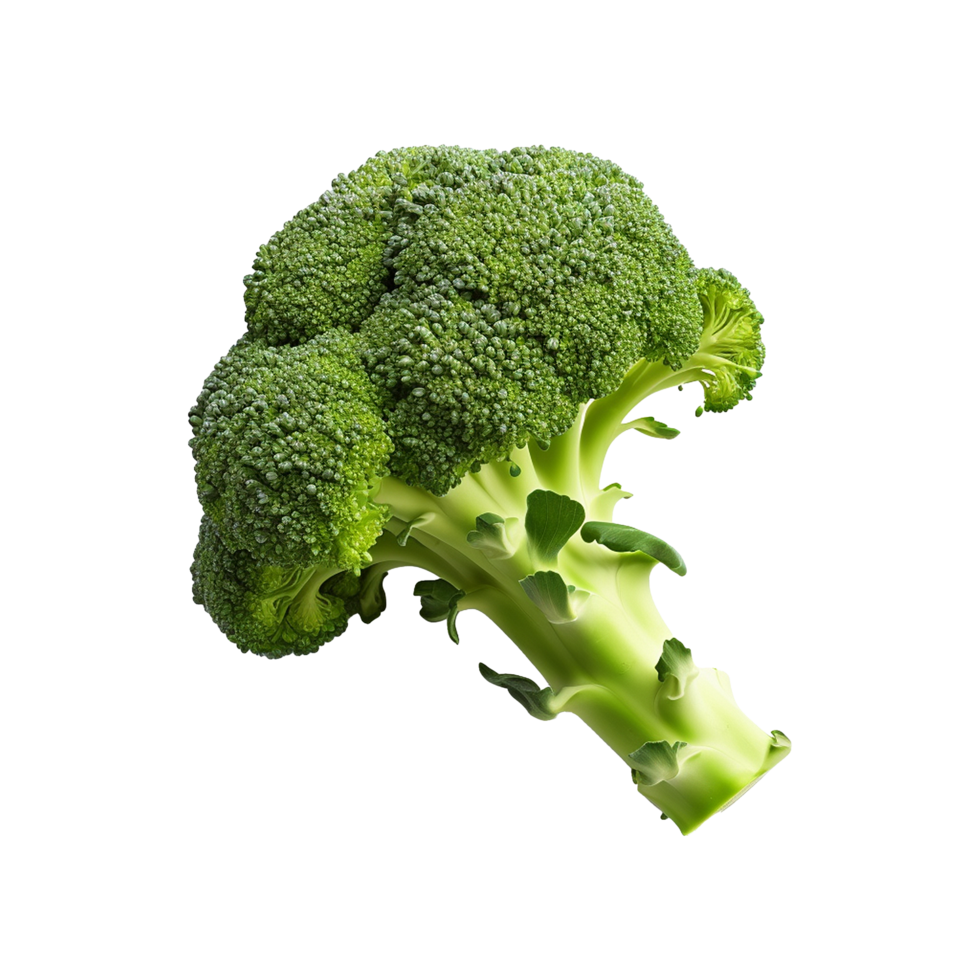 ai gegenereerd broccoli groente geïsoleerd Aan transparant achtergrond PNG