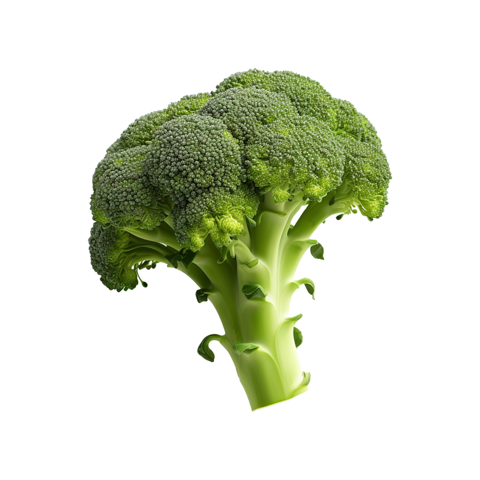 AI generated Broccoli vegetable isolated on transparent background png