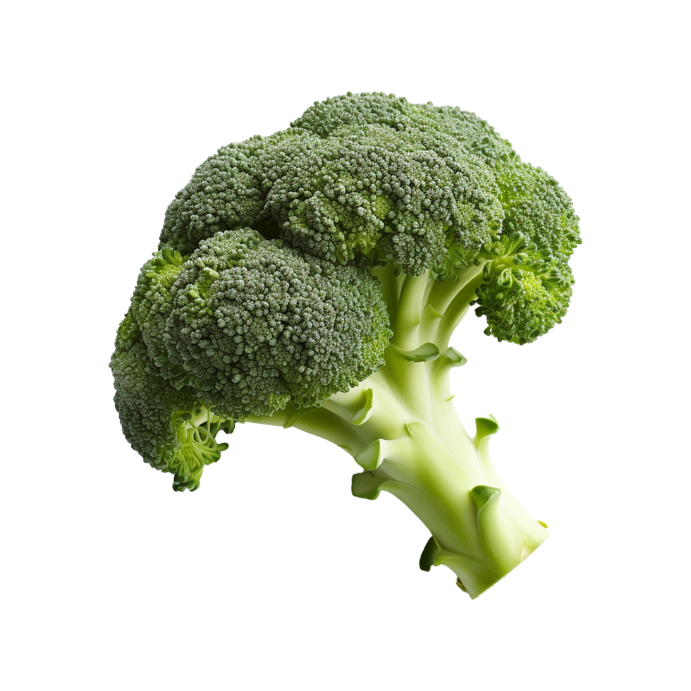 AI generated Broccoli vegetable isolated on transparent background png