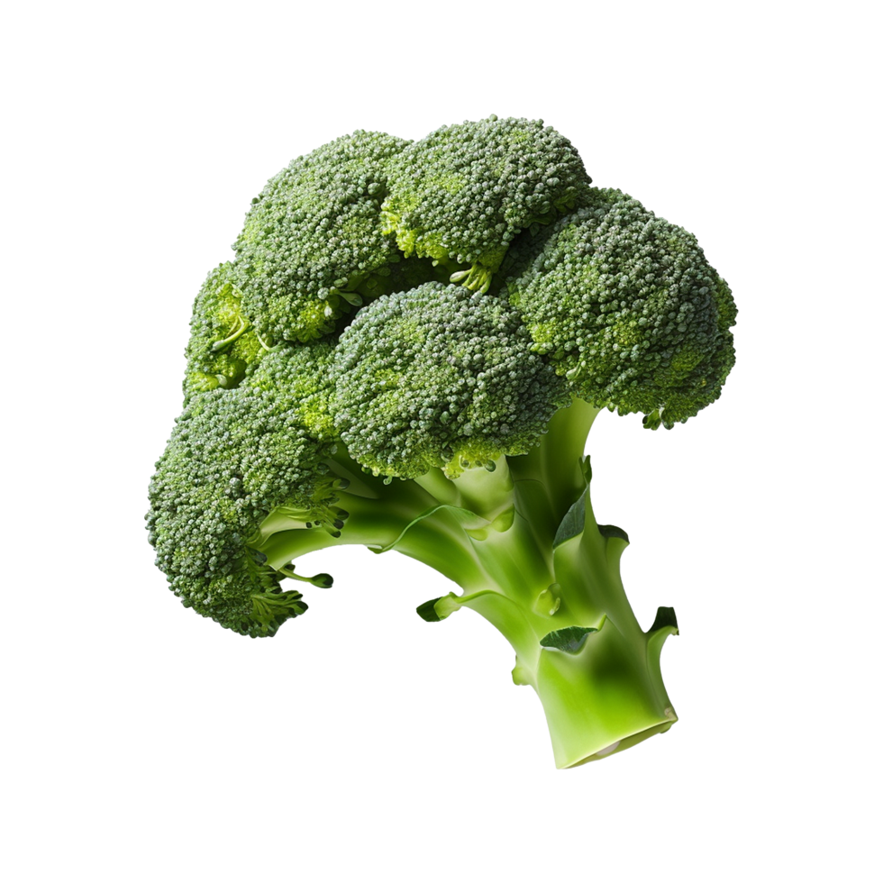 AI generated Broccoli vegetable isolated on transparent background png