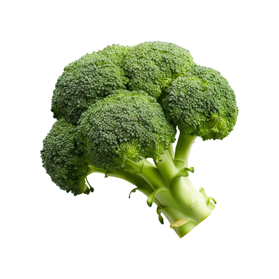 AI generated Broccoli vegetable isolated on transparent background png