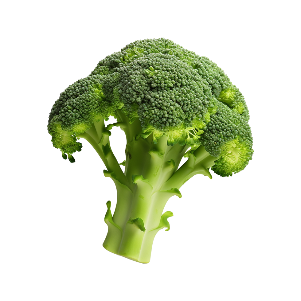 AI generated Broccoli vegetable isolated on transparent background png