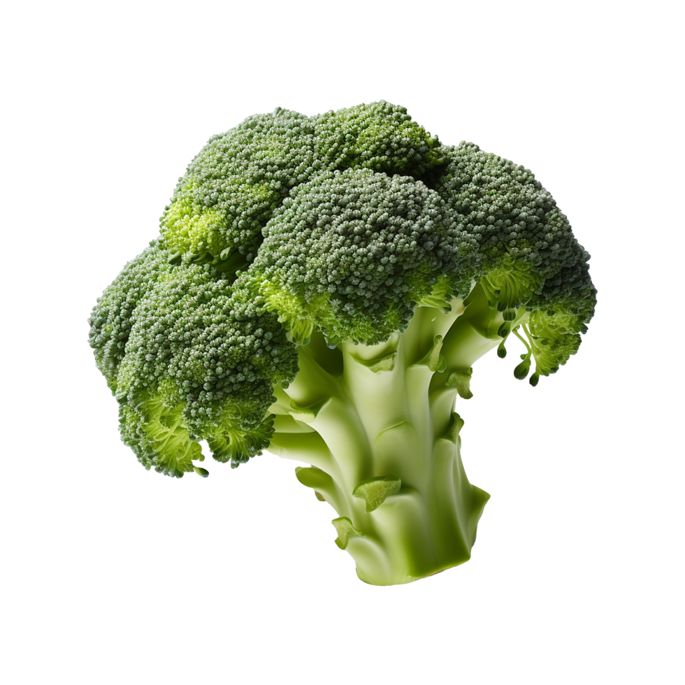 AI generated Broccoli vegetable isolated on transparent background png