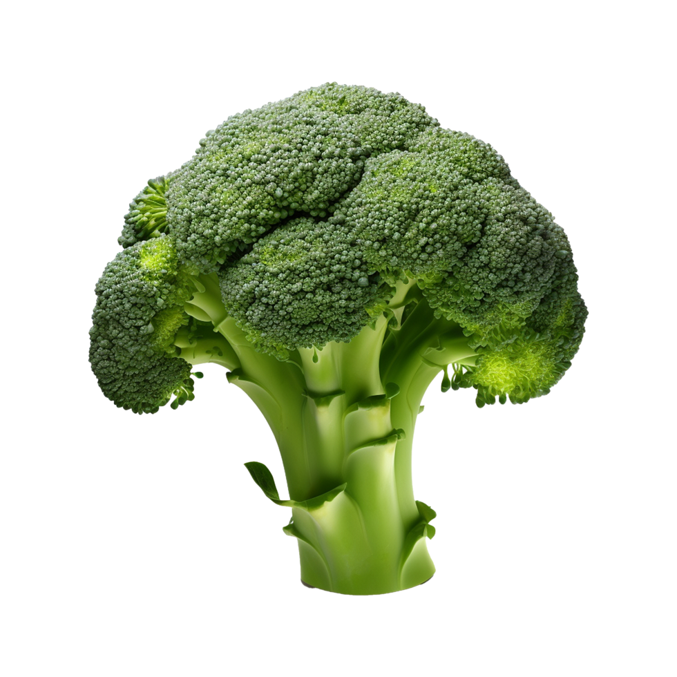 AI generated Broccoli vegetable isolated on transparent background png
